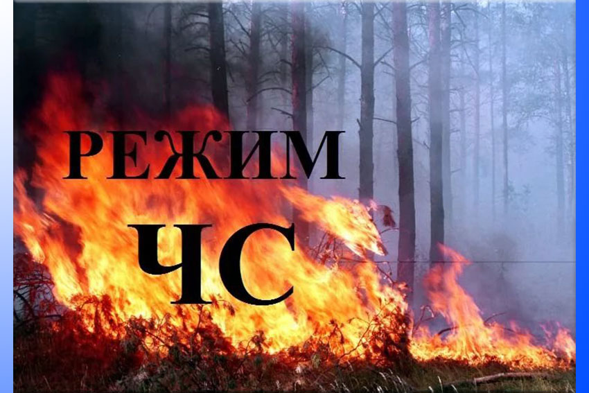 В лесах Красноярского края введён режим чрезвычайной ситуации.