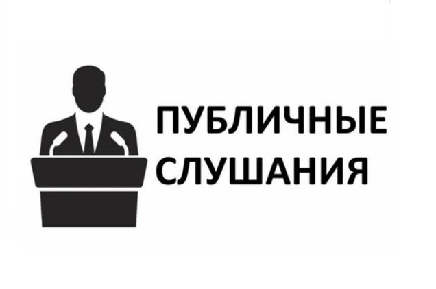 Резолюция публичных слушаний по вопросу  «О внесении изменений и дополнений в Устав Богучанского района Красноярского края».