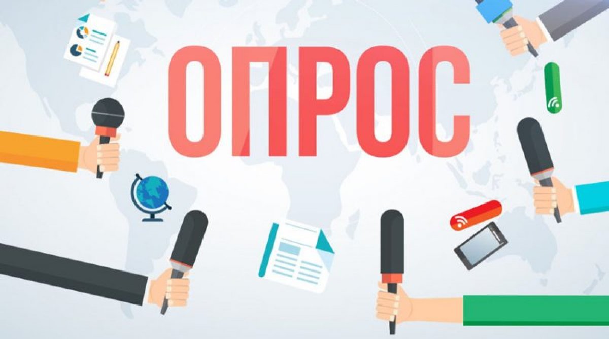 Об организации сбора обратной связи.