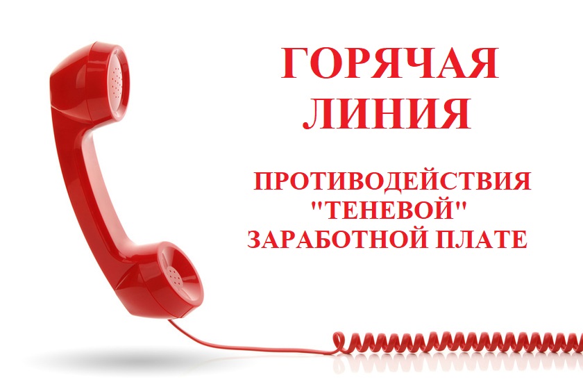 Открыты телефоны «горячей линии» по вопросам неформальной занятости.