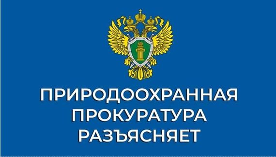 Красноярская природоохранная прокуратура информирует об актуальных изменениях природоохранного законодательства.