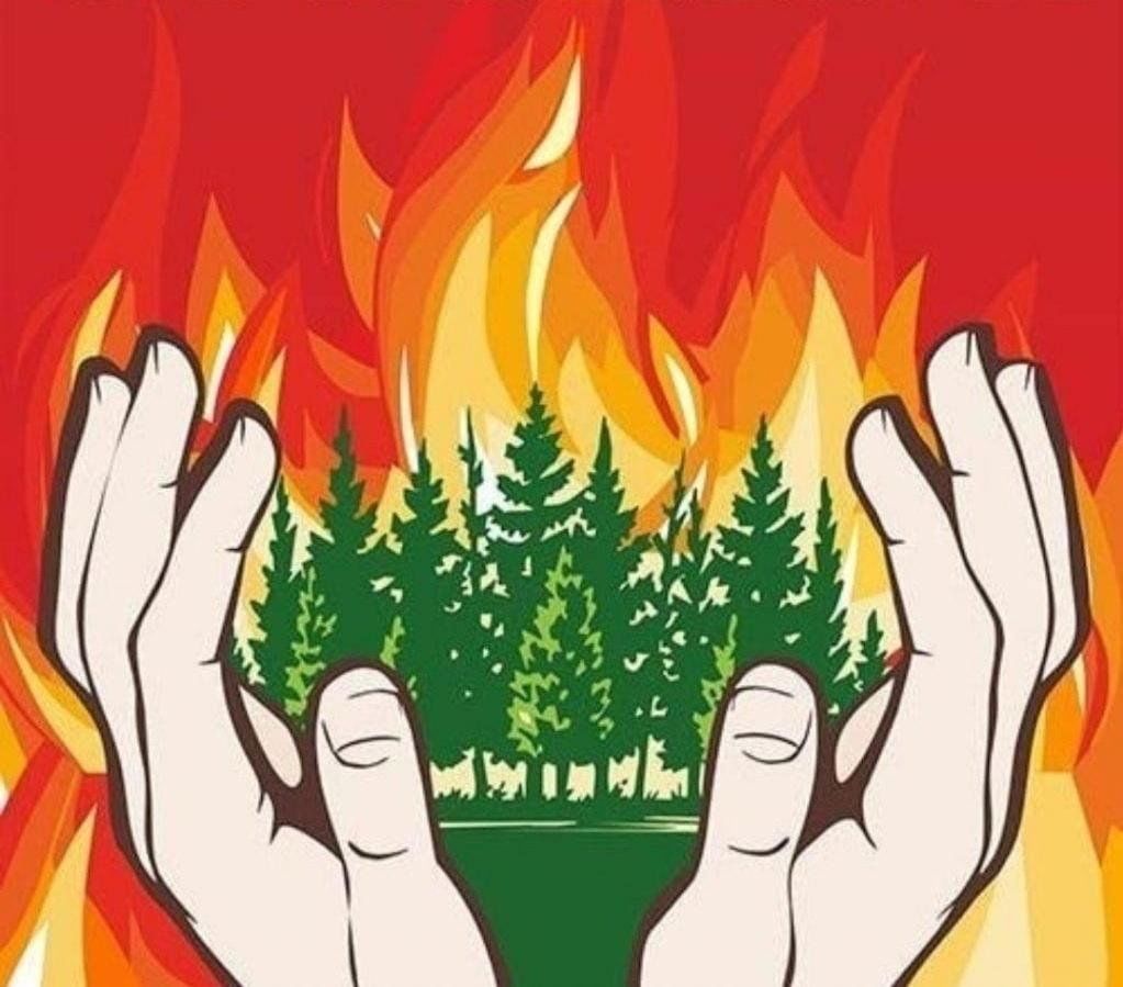 Уголок ГОЧС: защити свой дом от лесного пожара.