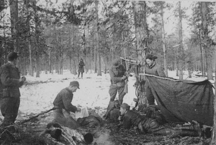 Славная дата: партизанское движение. Славная дата: партизанское движение.