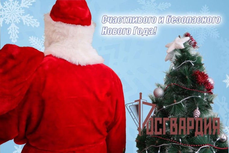 Безопасные новогодние каникулы. Безопасные новогодние каникулы.